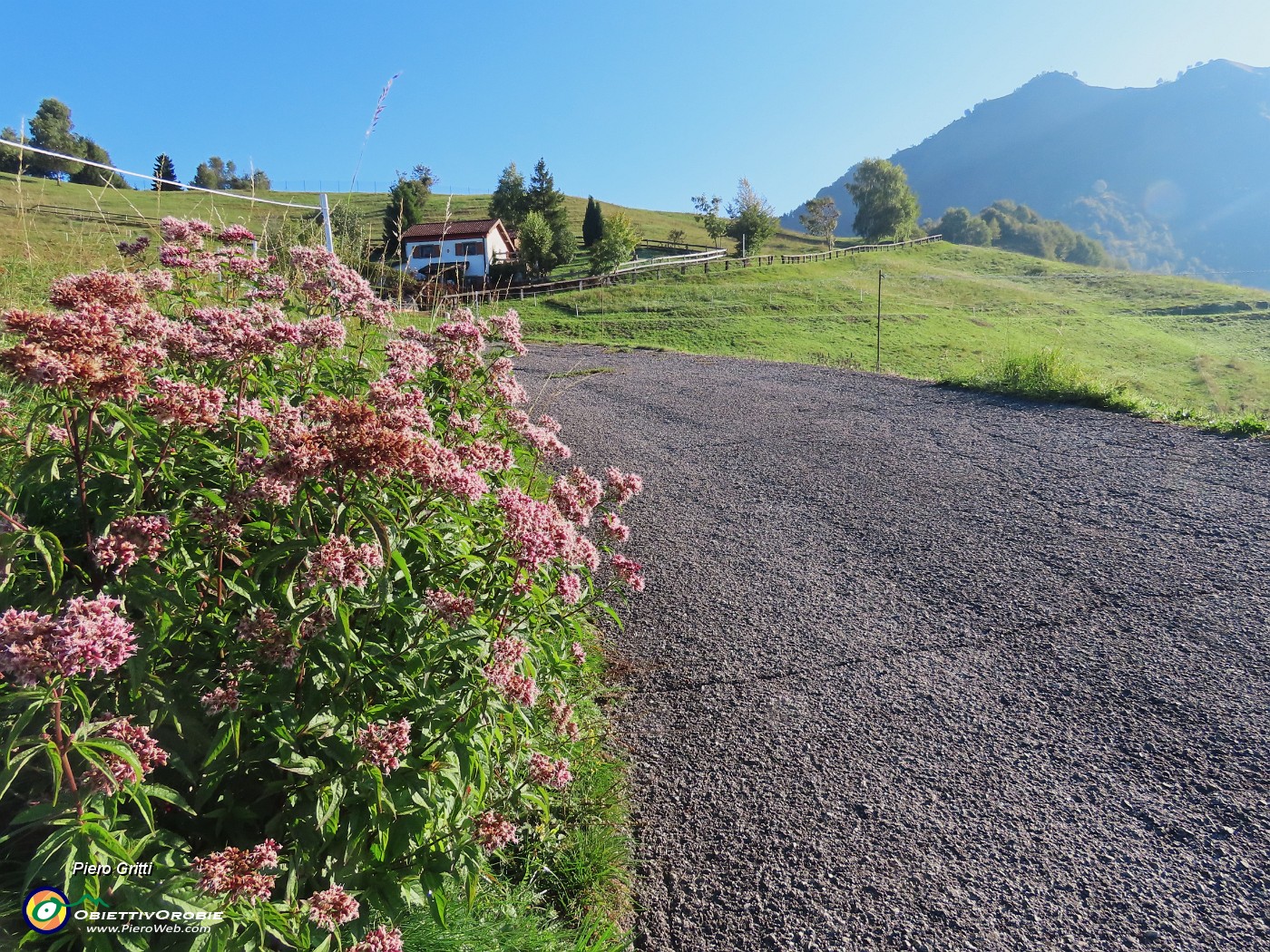 10 Alla casetta salgo la stradetta cementata.JPG